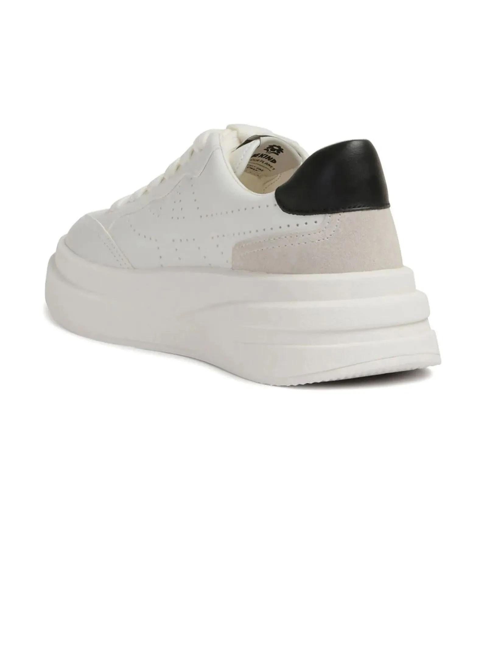 ASH Calzature,Sneakers Sneakers Impuls in pelle bianco 