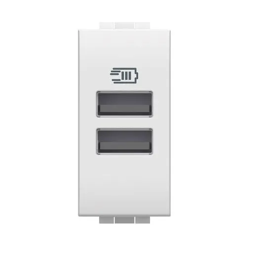 Caricatore Usb LivingLight Con 2 Prese A+A 1 Moduli - BTICINO N4191AA 