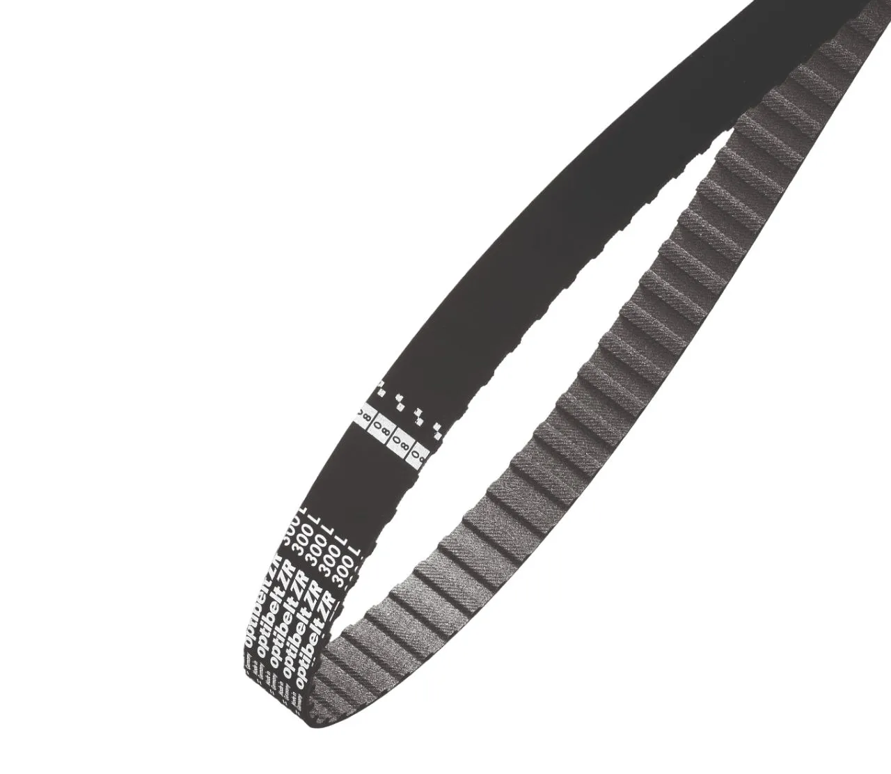 Cinghia sincrona OPTIBELT, 228 denti, passo 12.7mm, dimensioni 114poll x 2poll