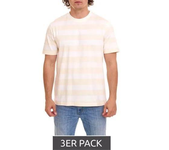 Confezione da 3 prodotti OTTO T-shirt da uomo a righe camicia estiva sostenibile in cotone biologico 11899614 Beige