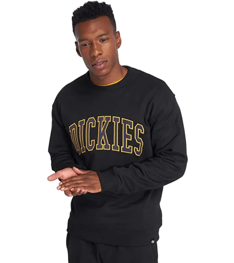 Dickies Sweatshirt Fredrickburg 200213 black