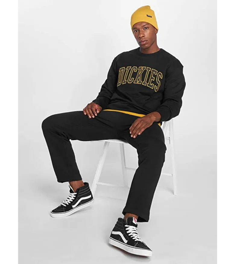Dickies Sweatshirt Fredrickburg 200213 black