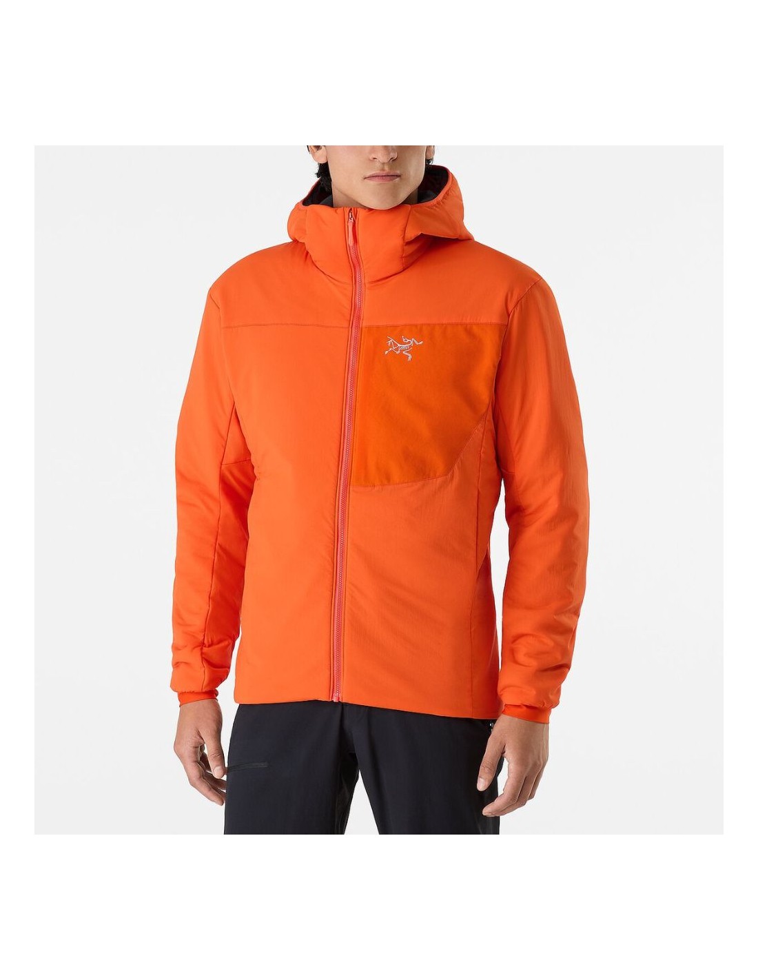 Giacca Phenom Arc'Teryx Proton LT Hoody - Uomo