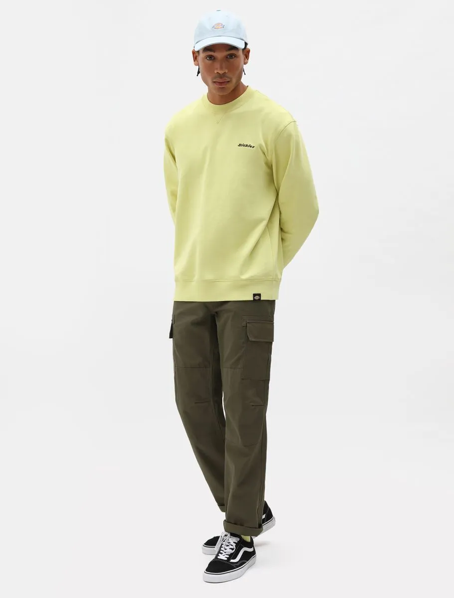 PANTALONI Uomo DICKIES MILLERVILLE DK0A4XDU MGR MILITARY GREEN