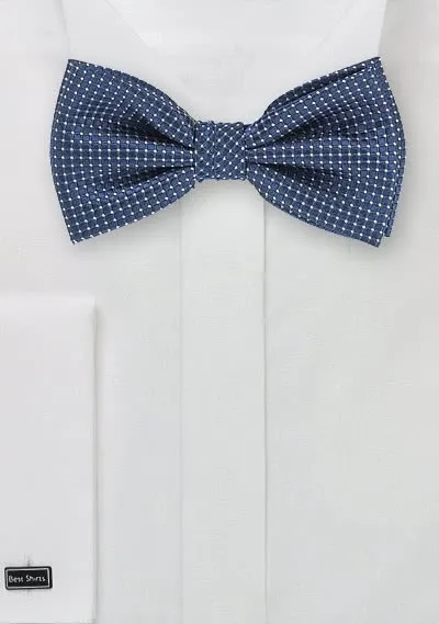 Papillon rete blu
