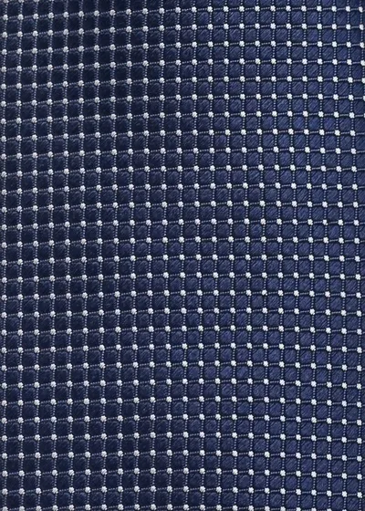 Papillon rete blu